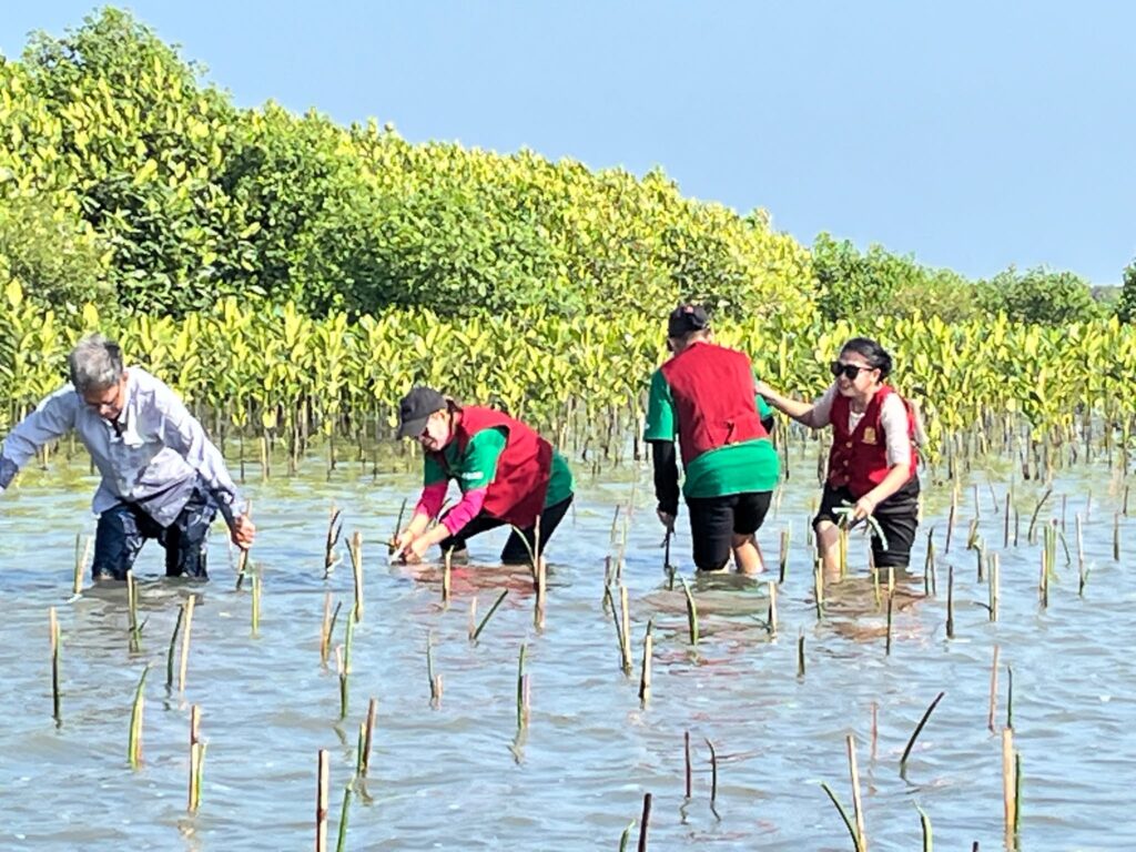 Mangrove Planting 5